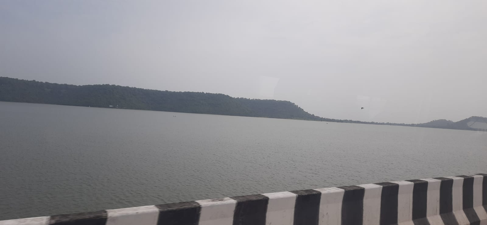 naidunia_image